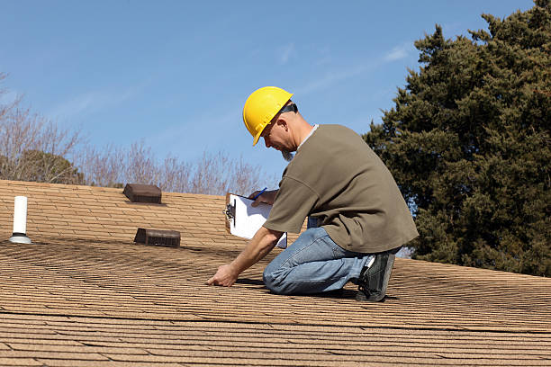 Best Roof Moss and Algae Removal  in Banner Elk, NC